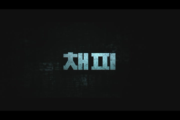 채피[기타]