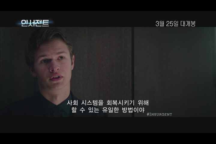 인서전트[기타]