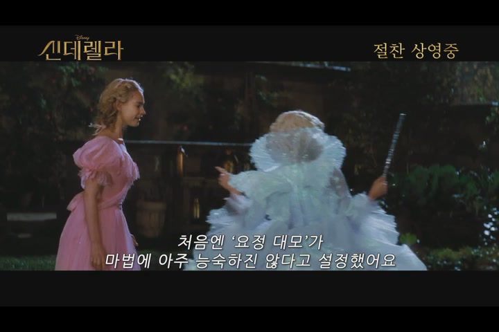 신데렐라[기타]
