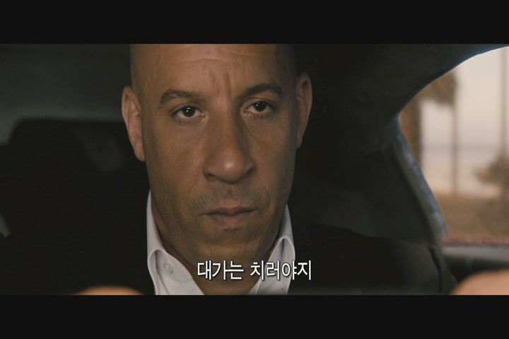 분노의 질주: 더 세븐[기타]