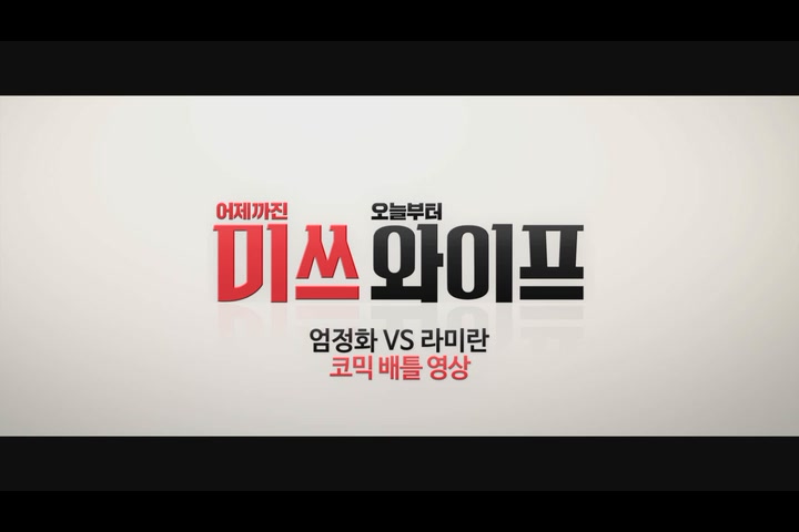 미쓰 와이프[기타]
