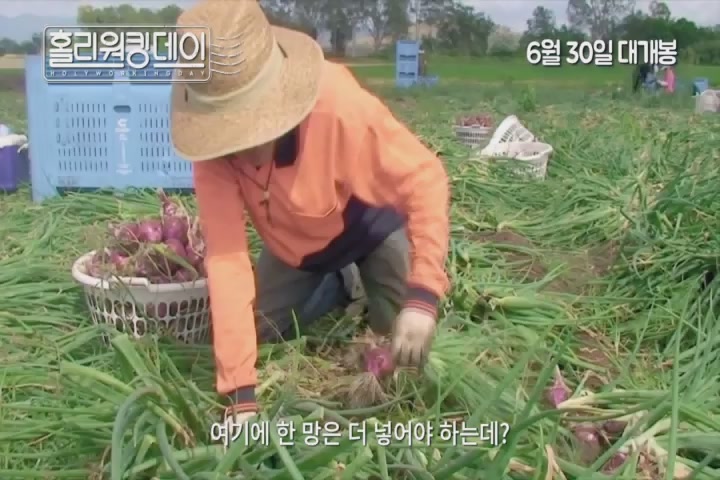 홀리워킹데이[예고편]