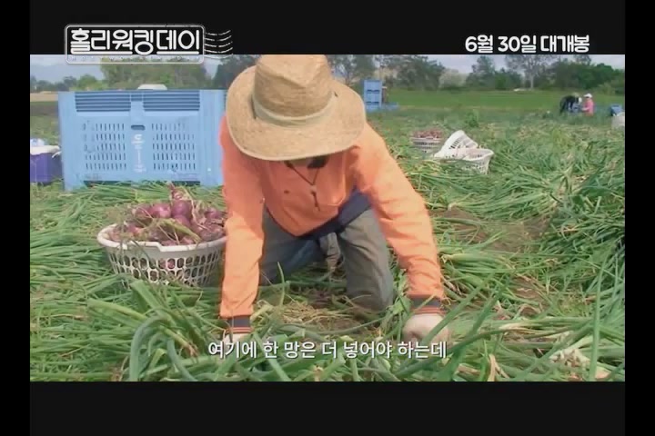 홀리워킹데이[예고편]