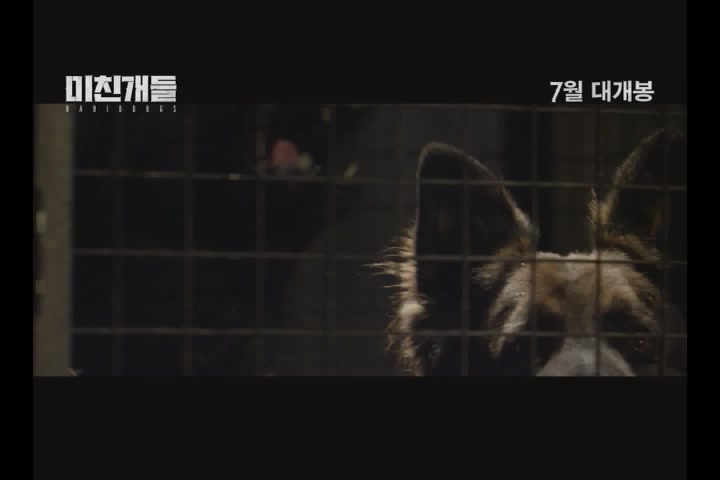 미친개들[기타]