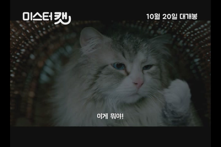 미스터 캣[예고편]