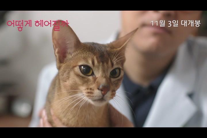 어떻게 헤어질까[예고편]