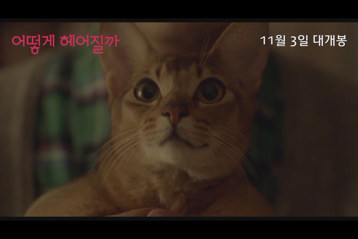 어떻게 헤어질까[예고편]