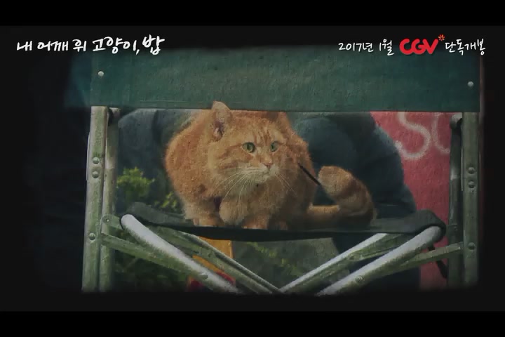 내 어깨 위 고양이, 밥[예고편]