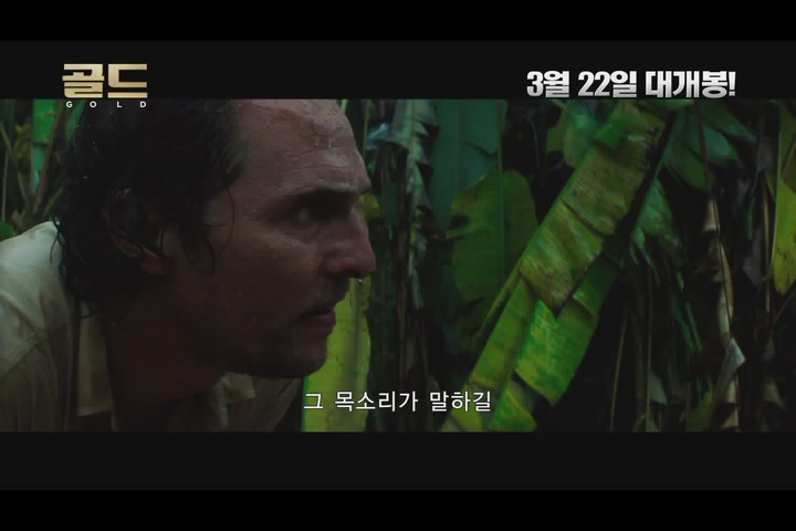 골드[기타]