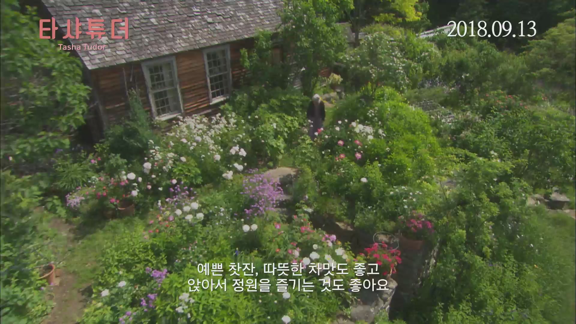 타샤 튜더[기타]