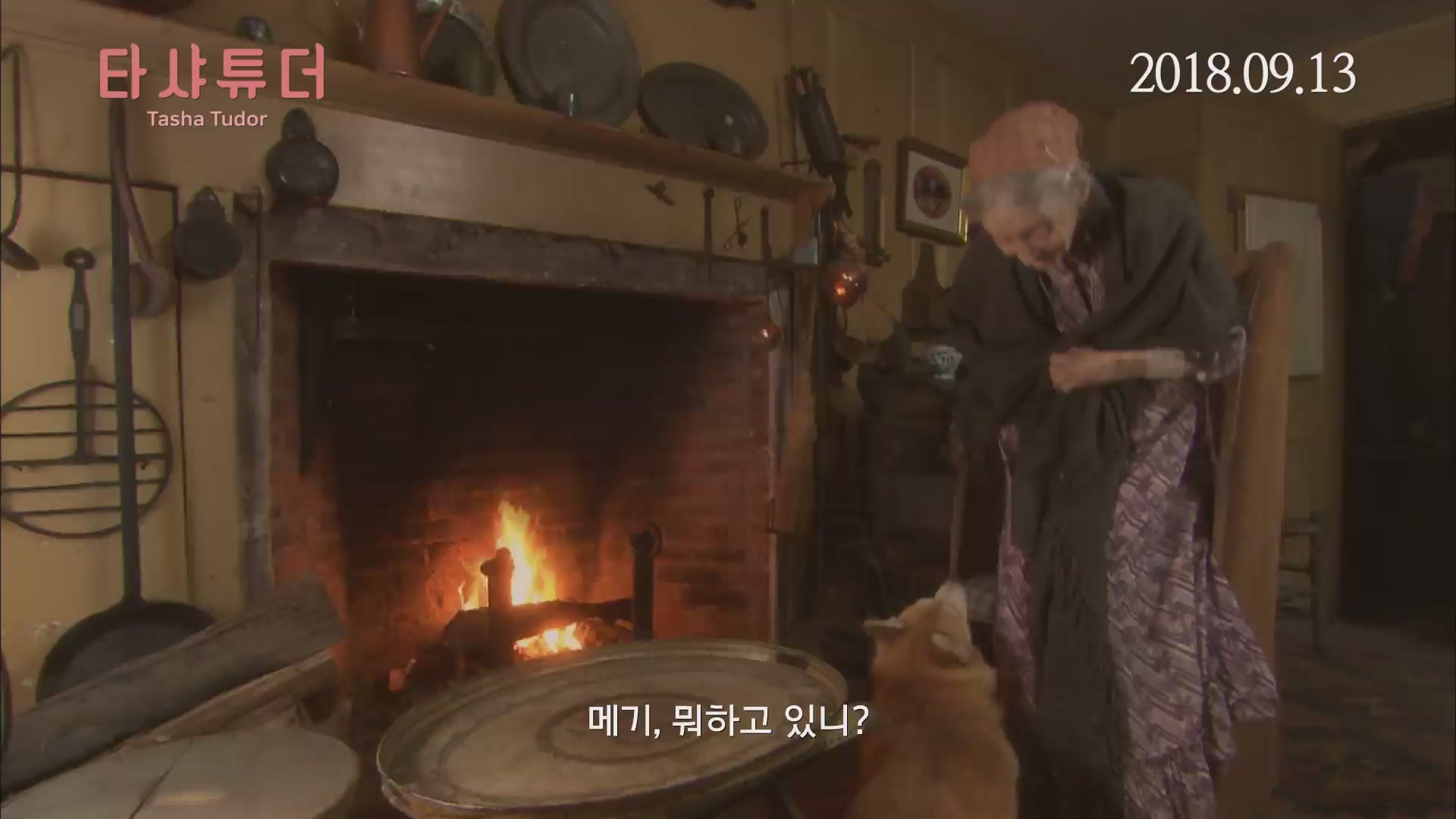 타샤 튜더[기타]