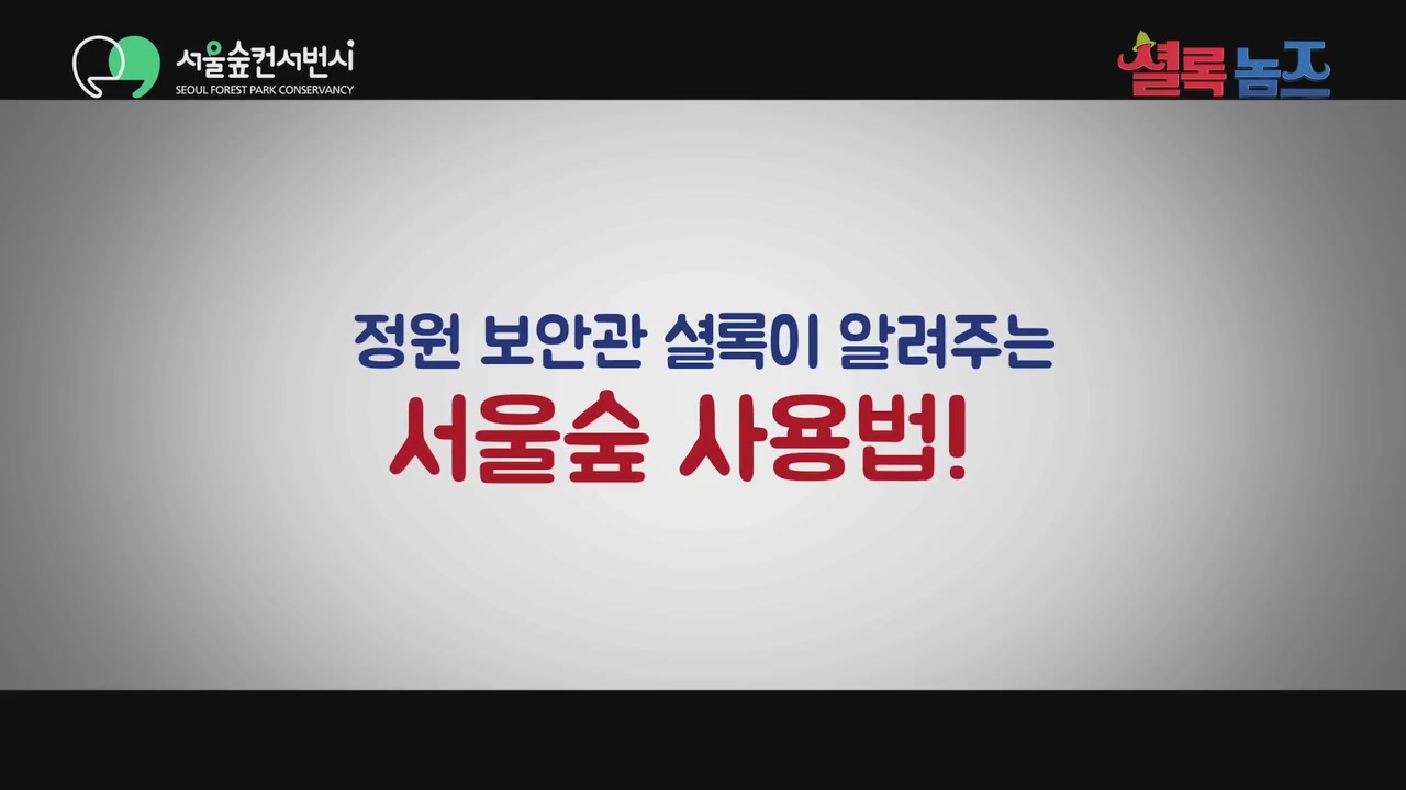셜록 놈즈[기타]