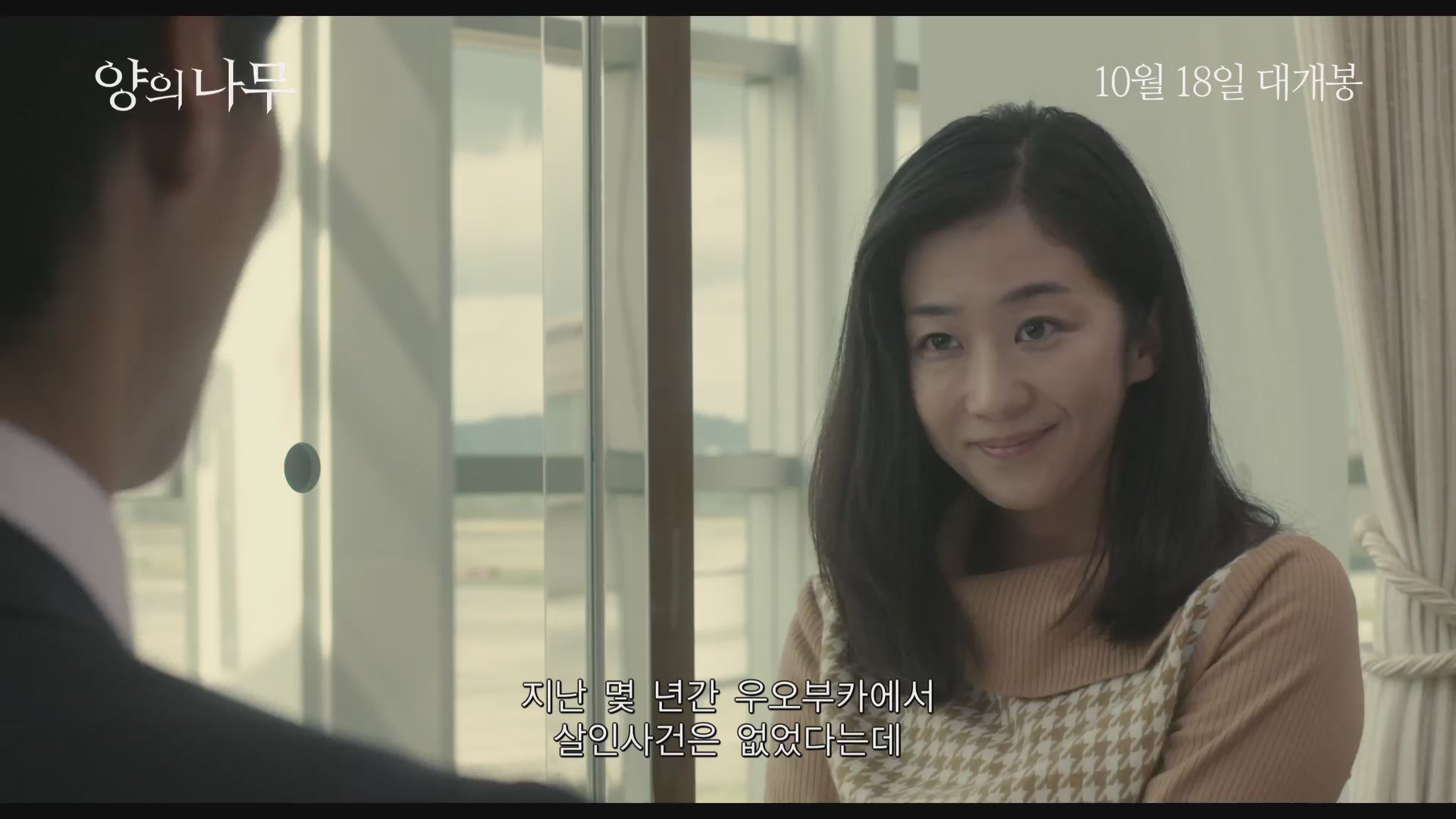 양의 나무[기타]
