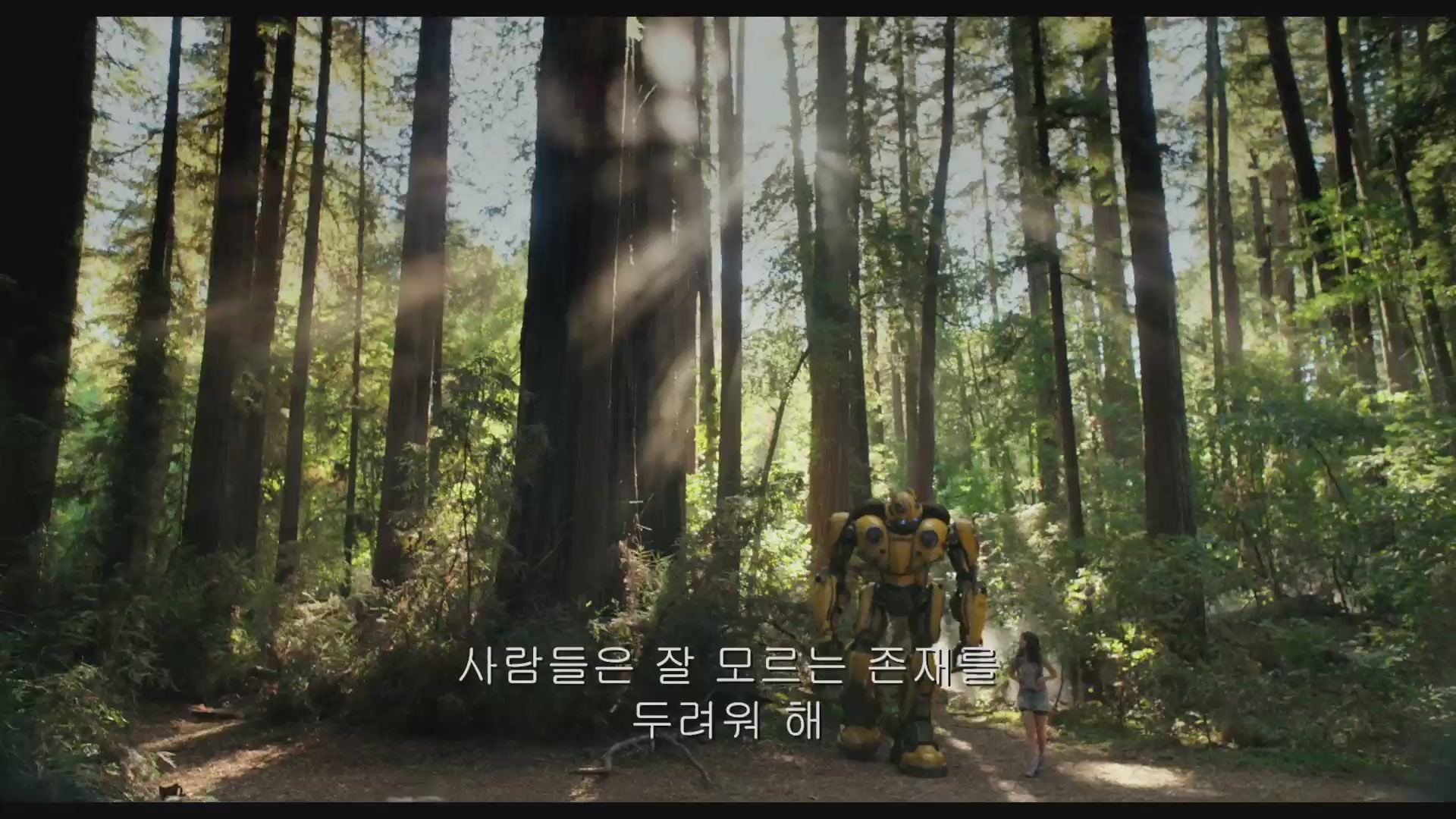 범블비[기타]