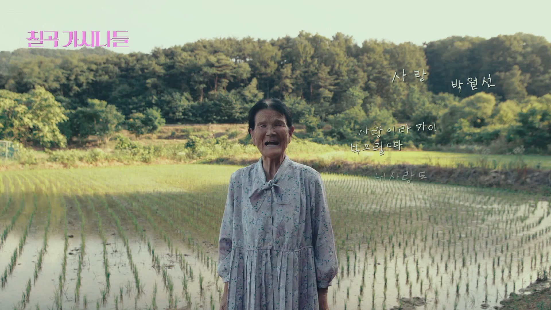 칠곡 가시나들[예고편]