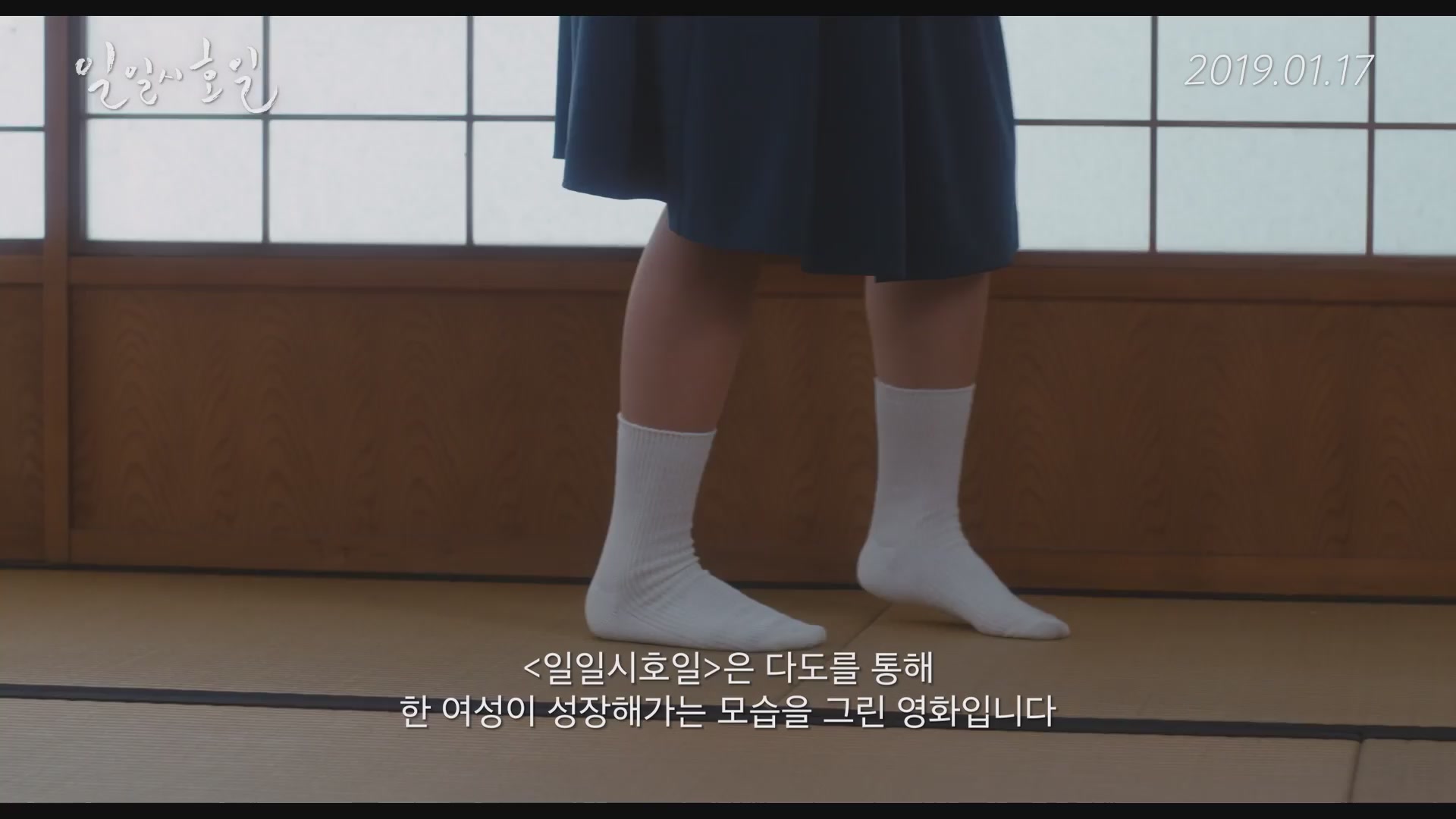 일일시호일[기타]