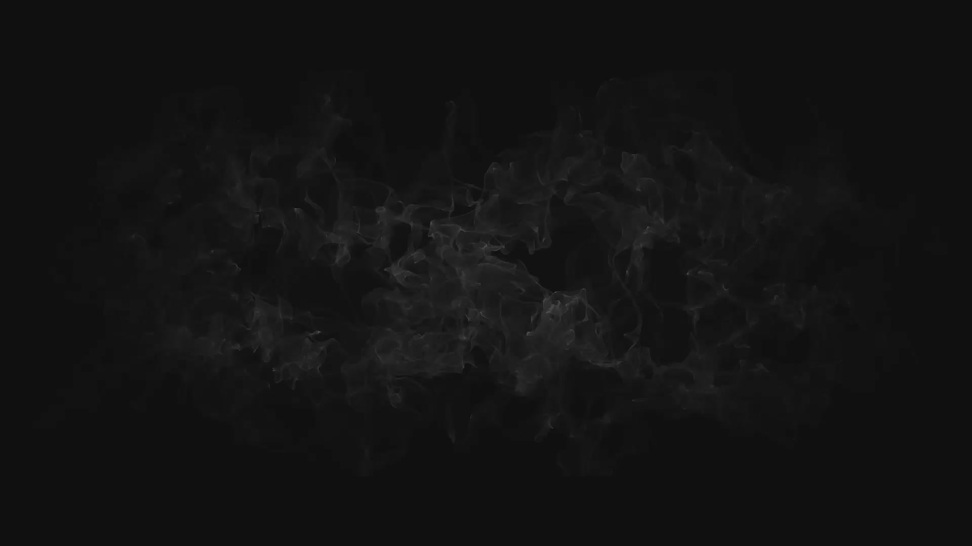 울프 SWAT[예고편]