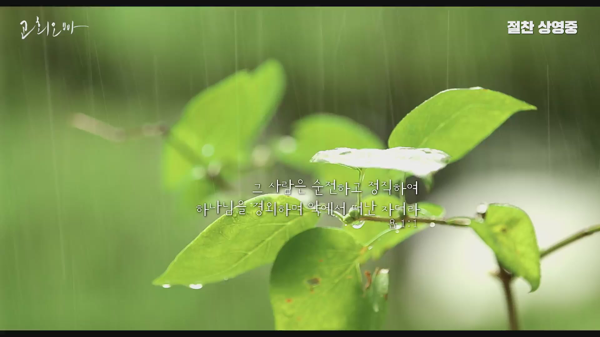 교회오빠[뮤직비디오]