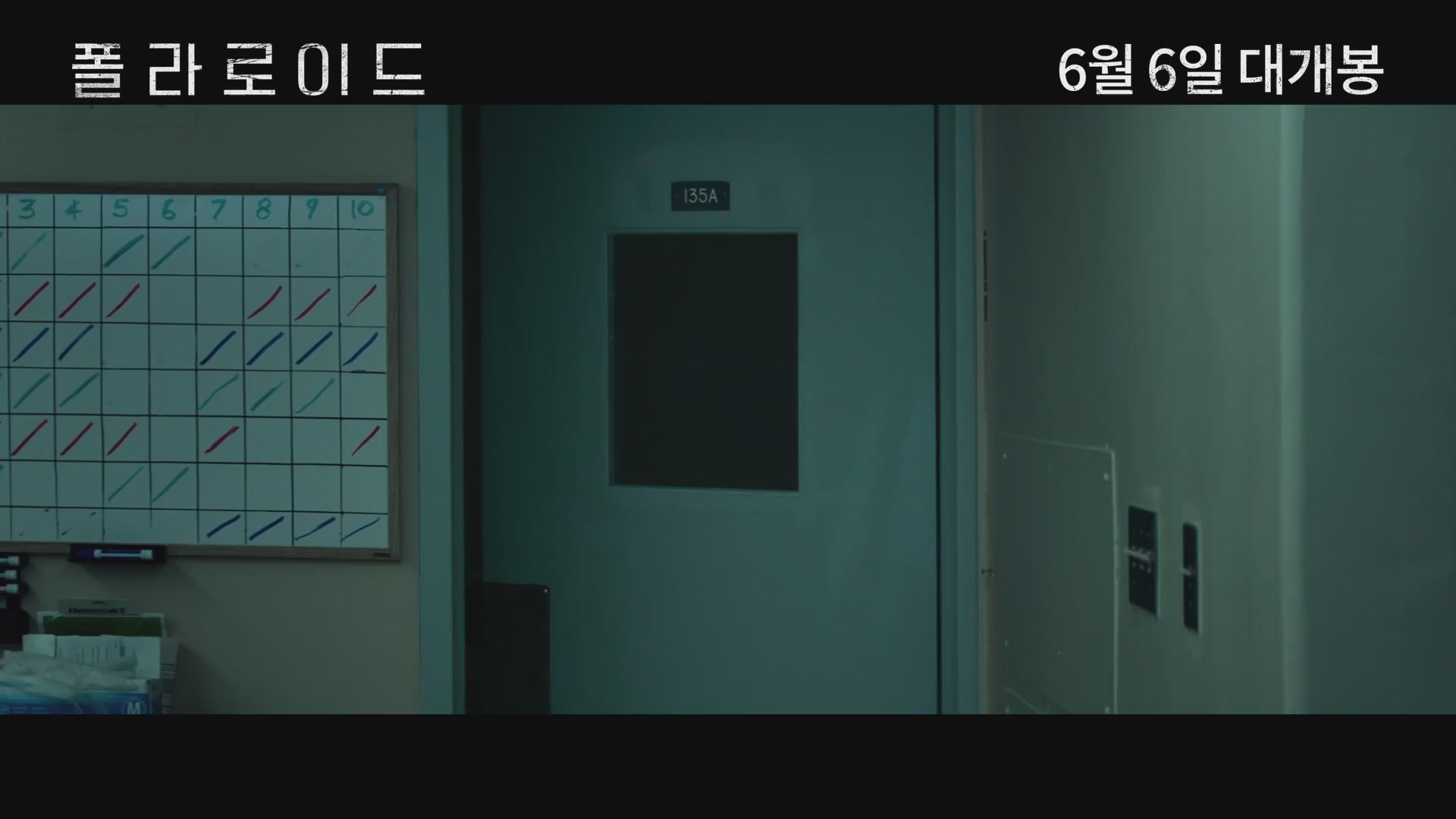 폴라로이드[기타]