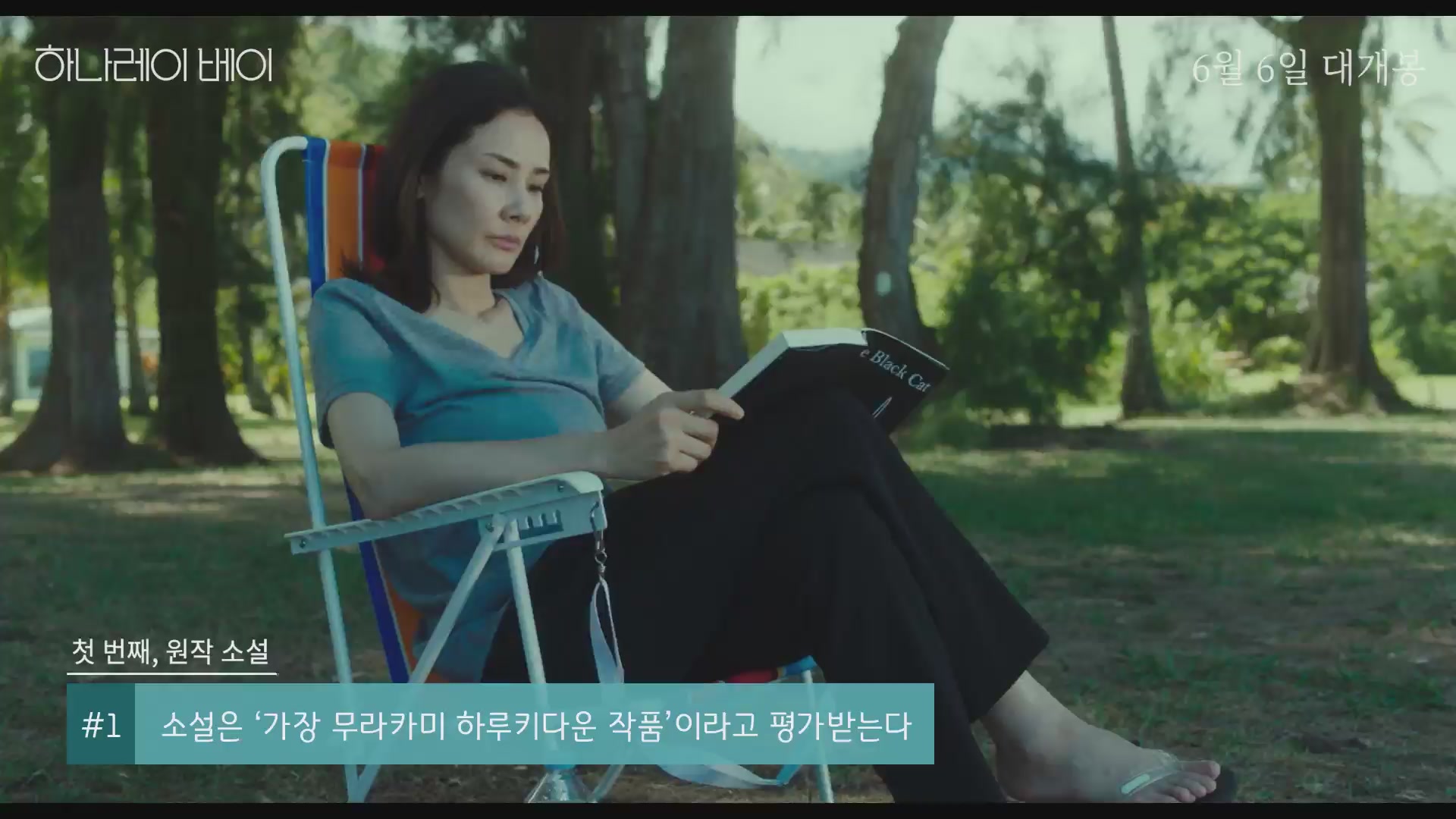하나레이 베이[기타]