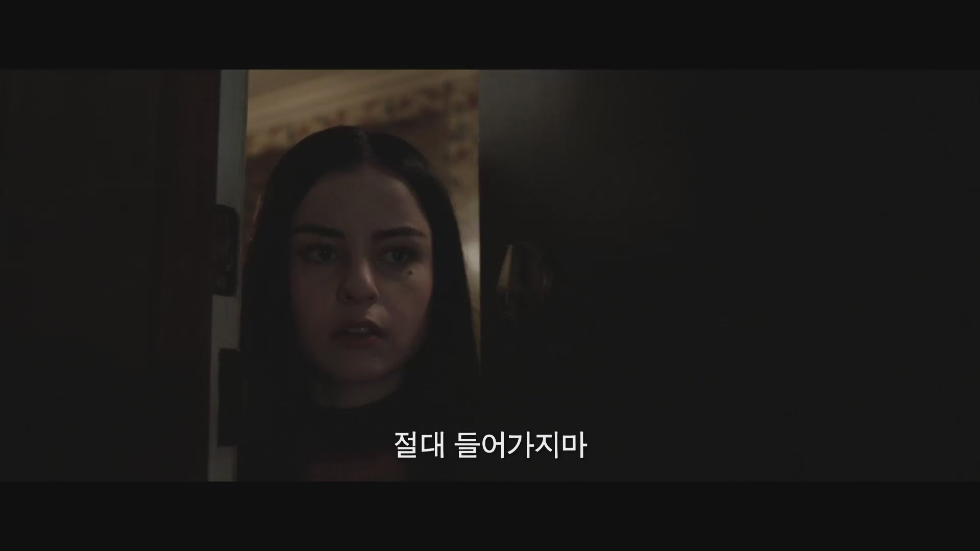 애나벨 집으로[기타]