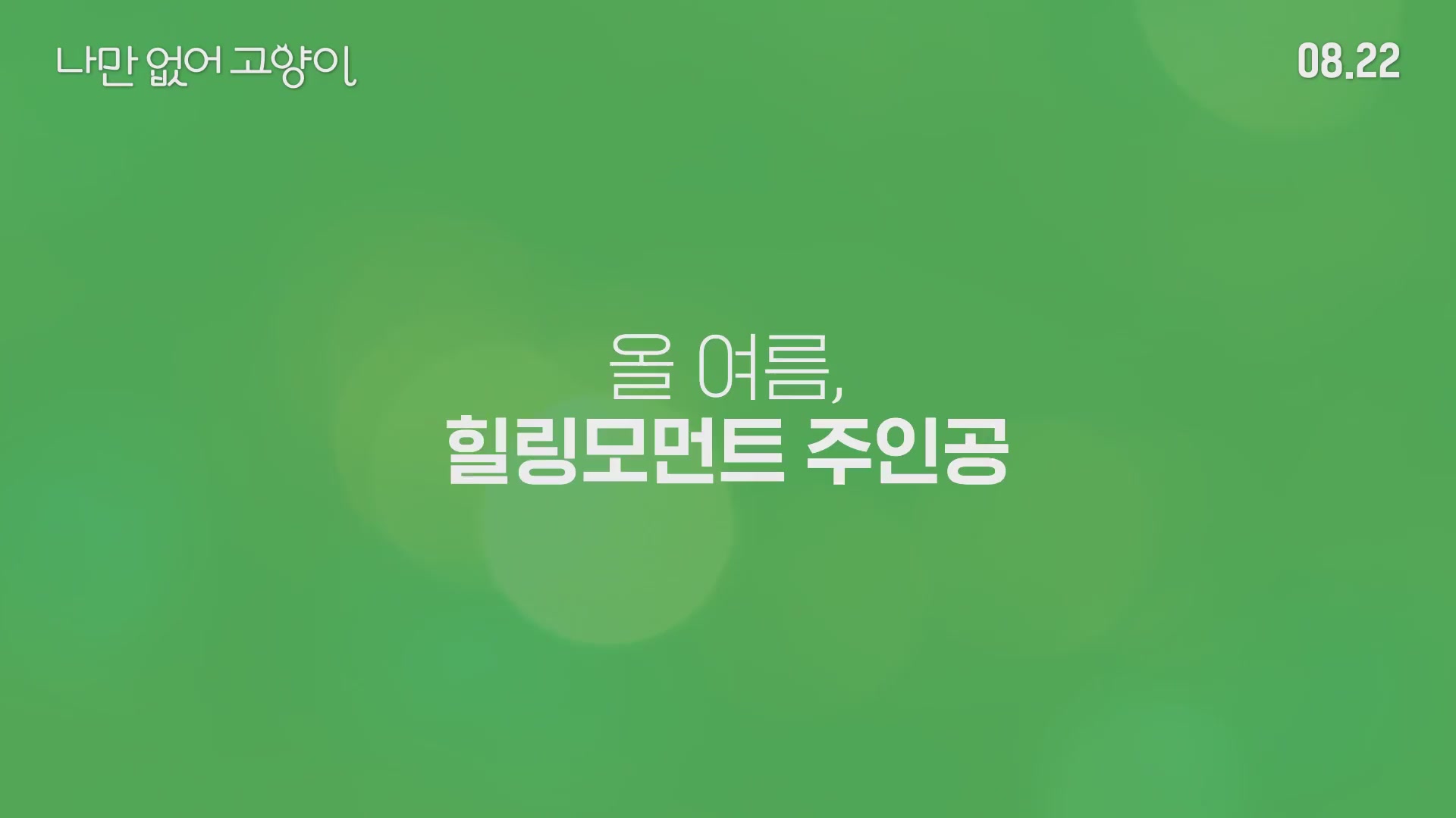 나만 없어 고양이[예고편]
