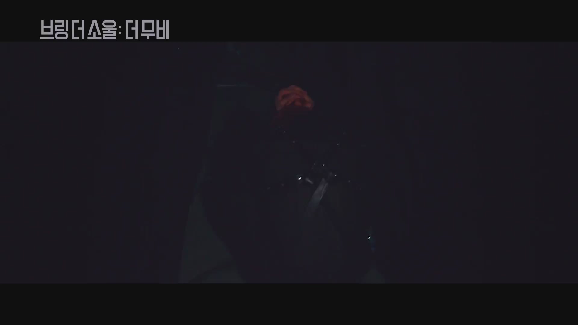브링 더 소울 : 더 무비[기타]