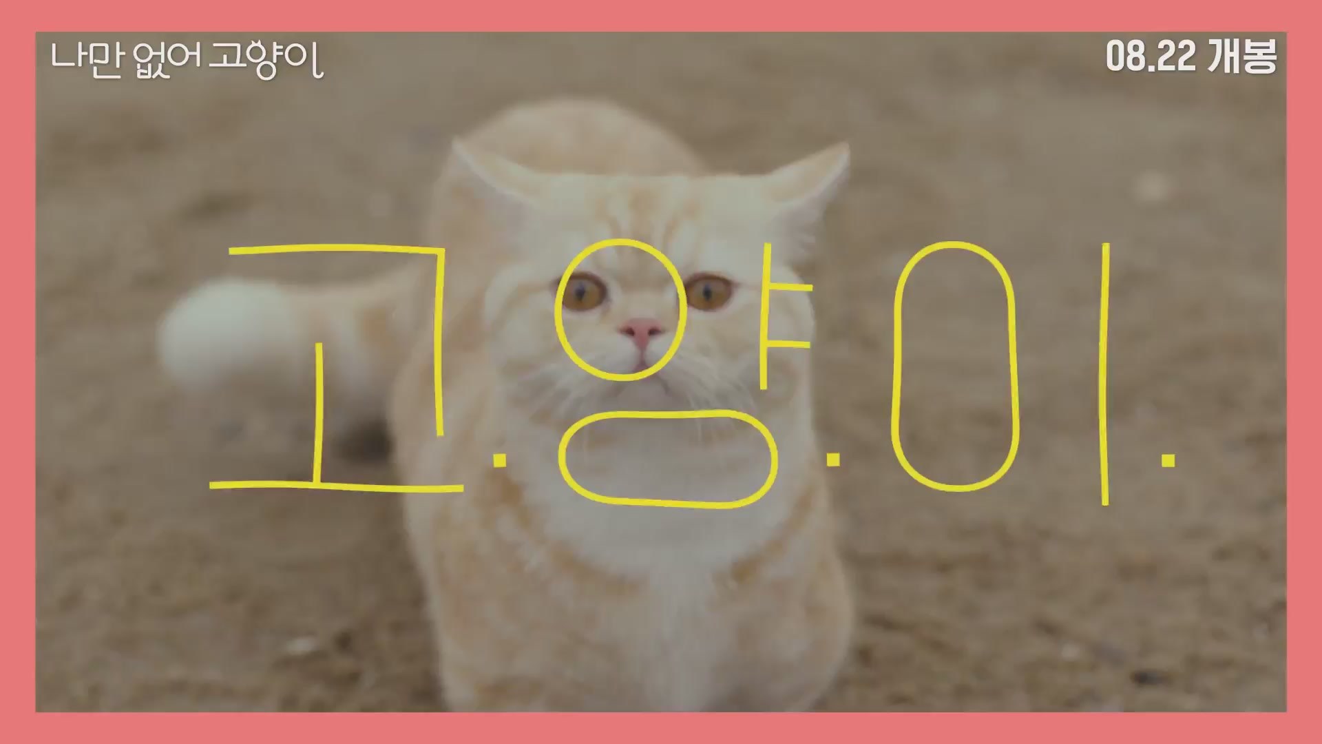 나만 없어 고양이[뮤직비디오]