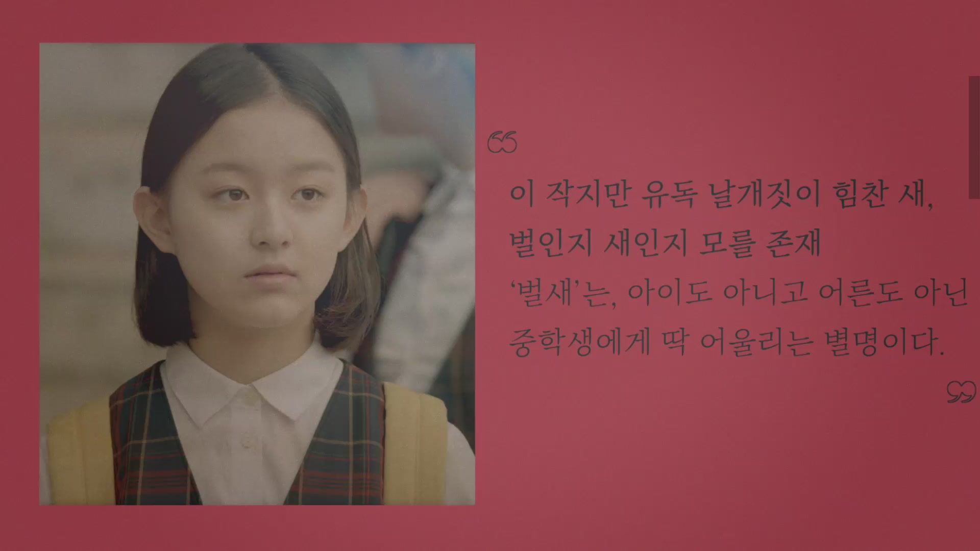 벌새[기타]