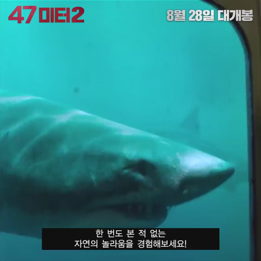 47미터 2[기타]