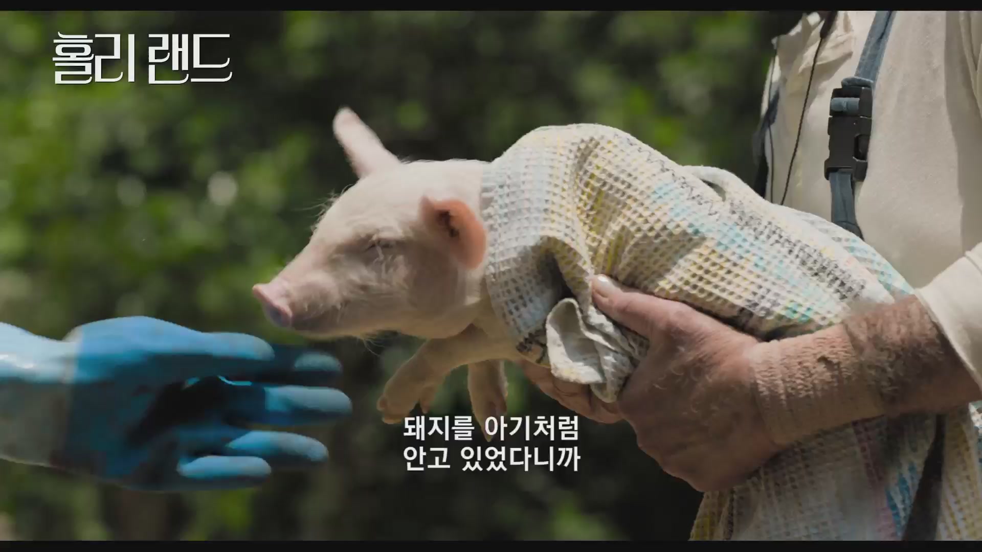 홀리 랜드[예고편]