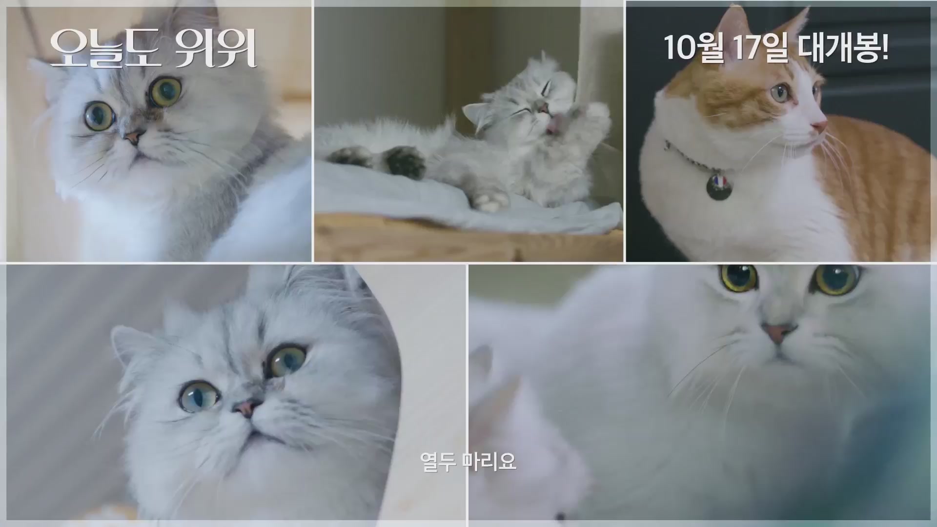오늘도 위위[예고편]