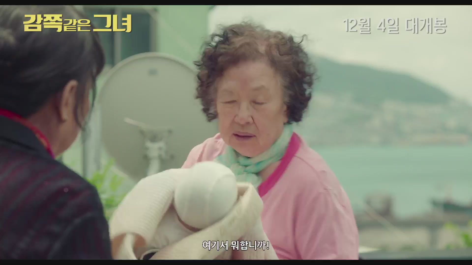 감쪽같은 그녀[기타]