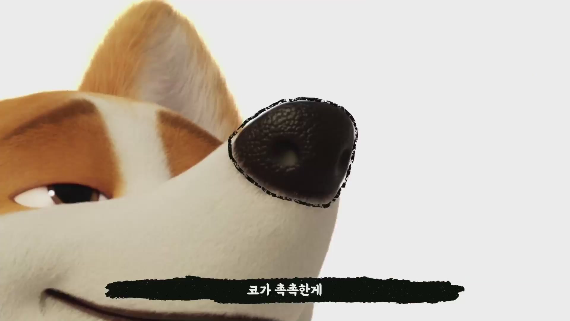 프린스 코기[예고편]