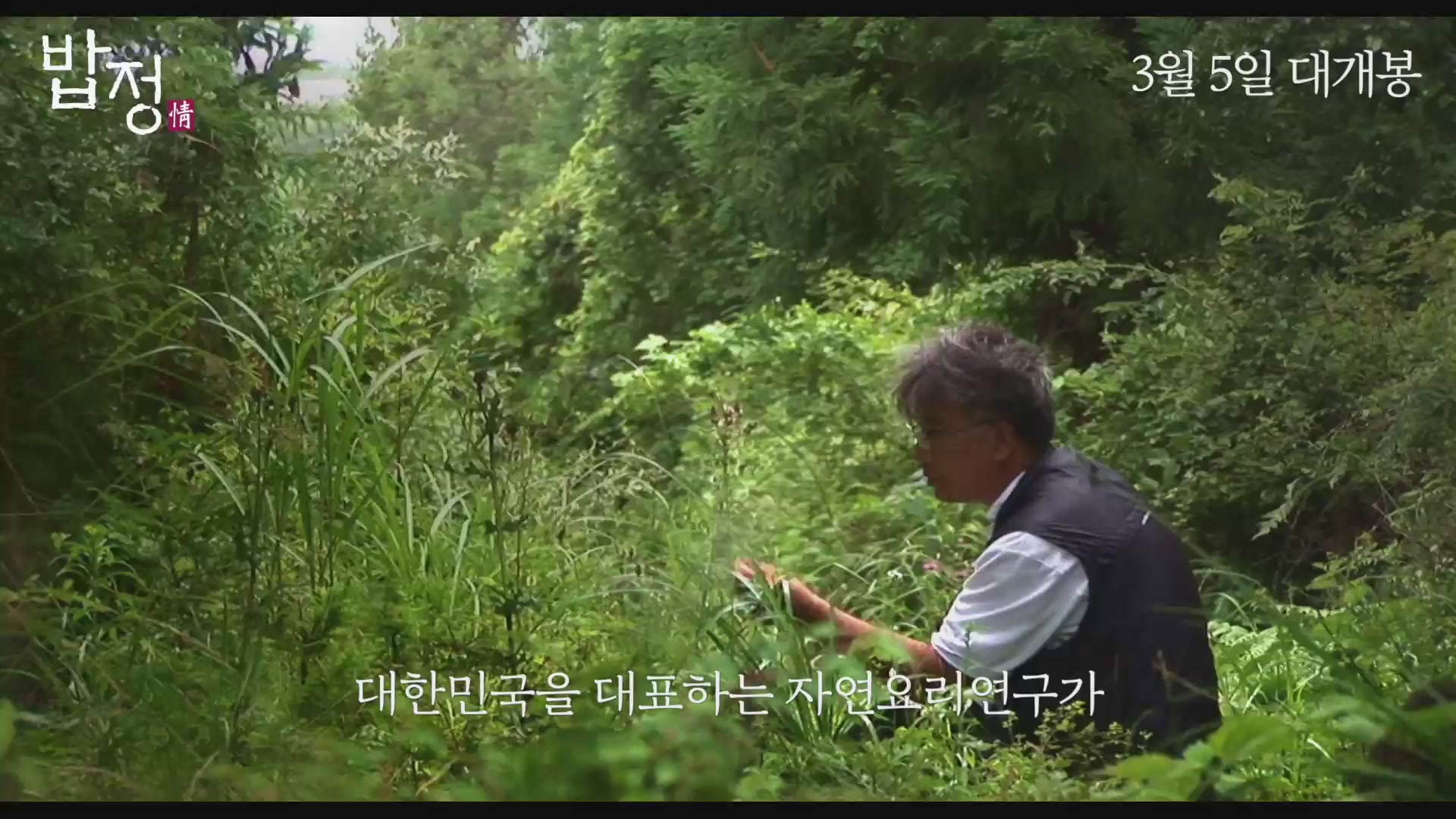 밥정[기타]
