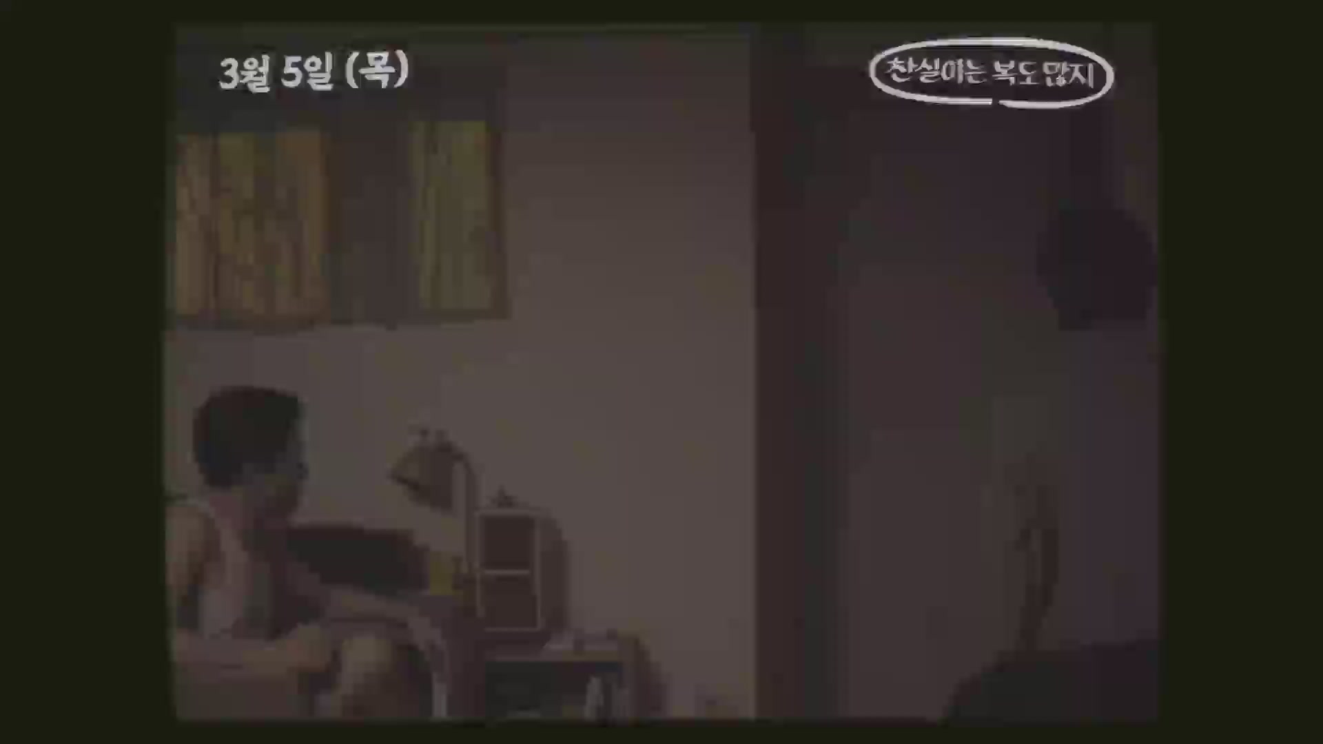 찬실이는 복도 많지[기타]