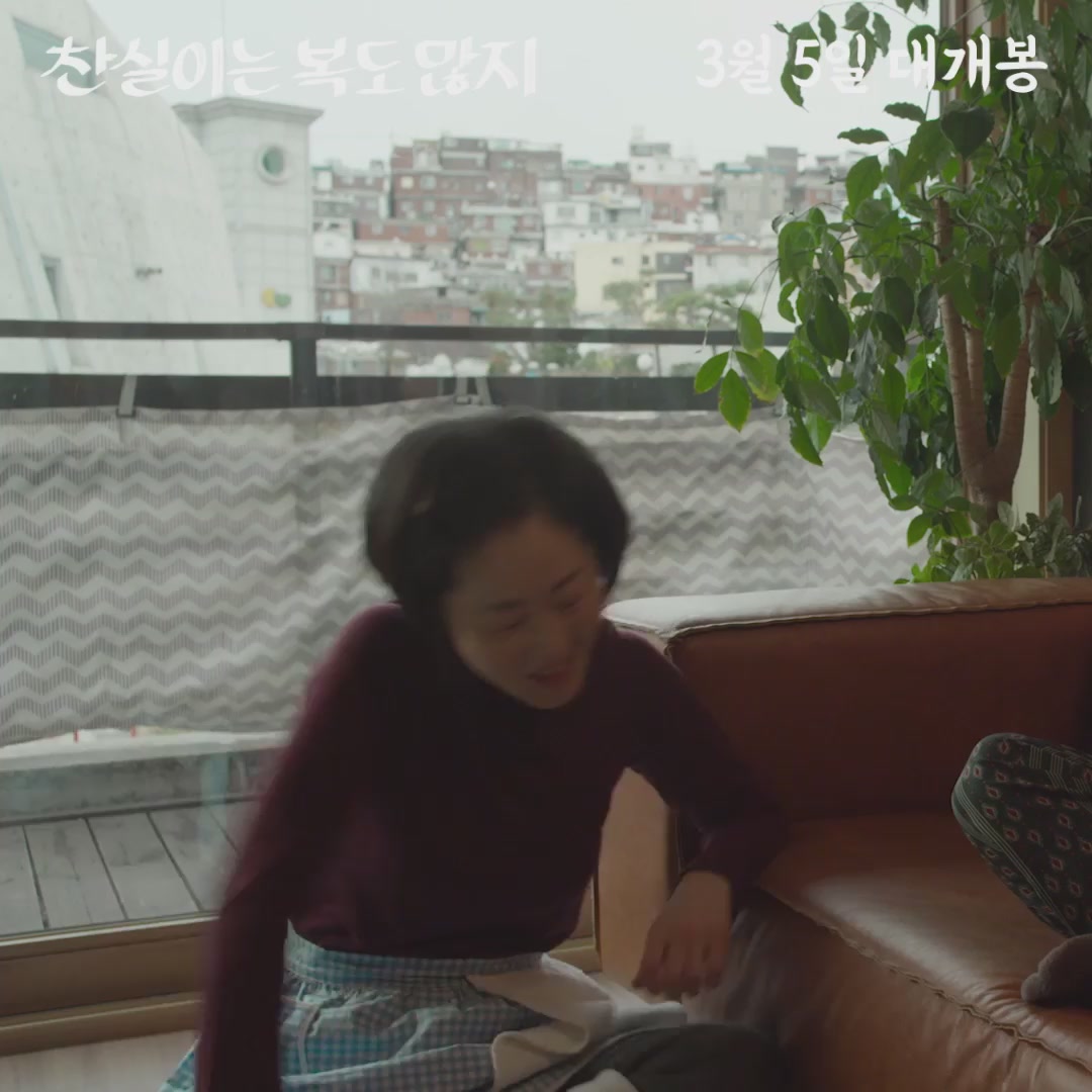 찬실이는 복도 많지[기타]