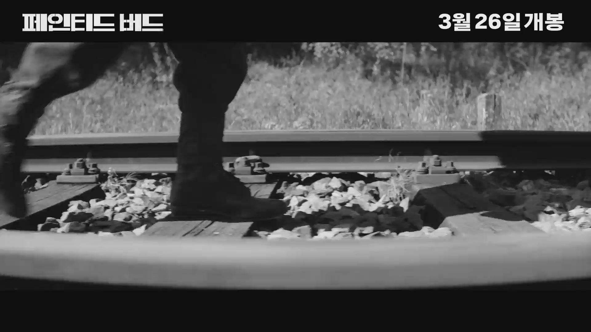 페인티드 버드[예고편]