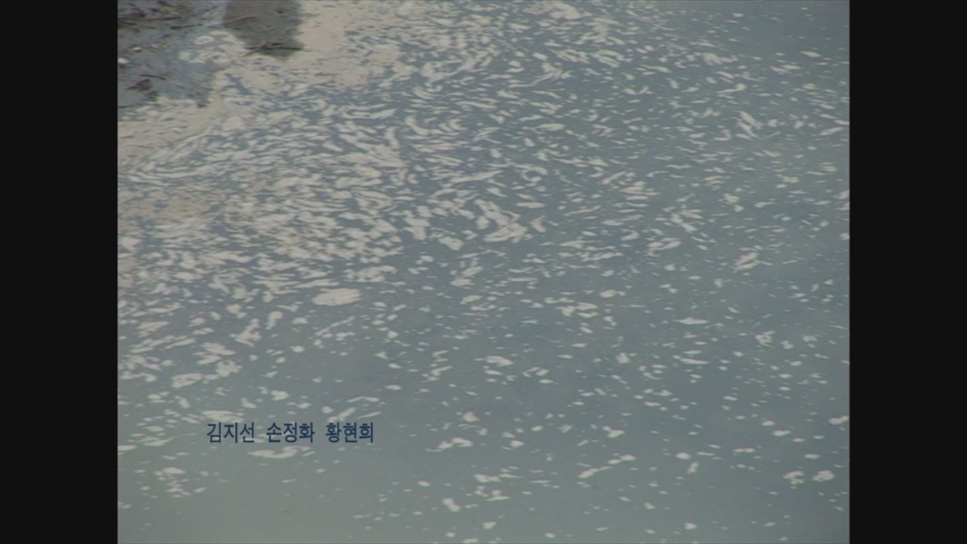 아무도 꾸지 않은 꿈[엔딩크레딧]