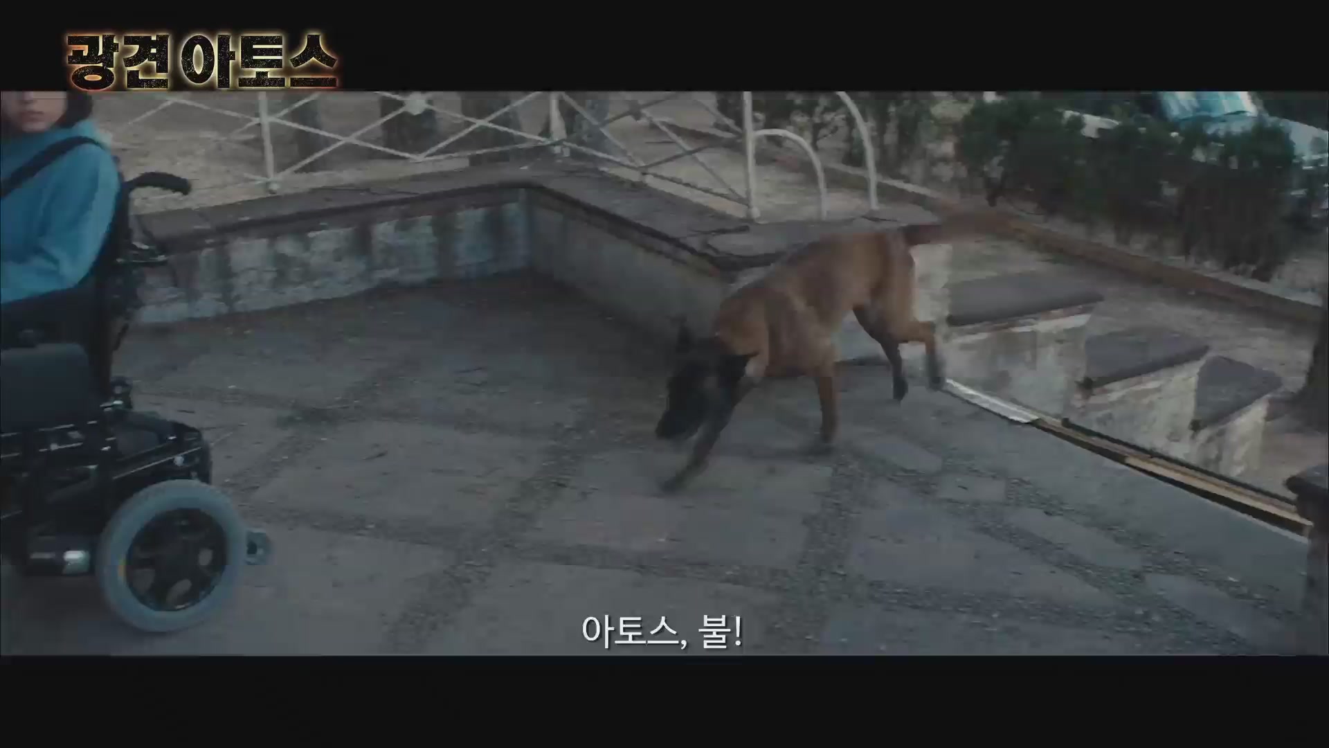 광견 아토스[예고편]