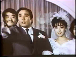 도시에서 우는 매미[본편]