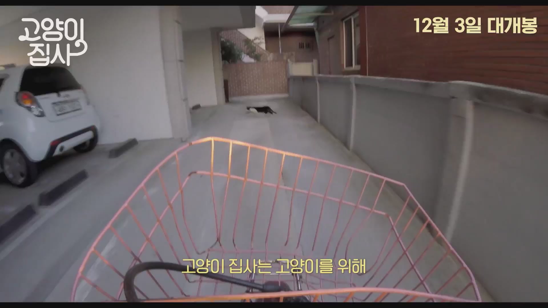 고양이 집사[예고편]