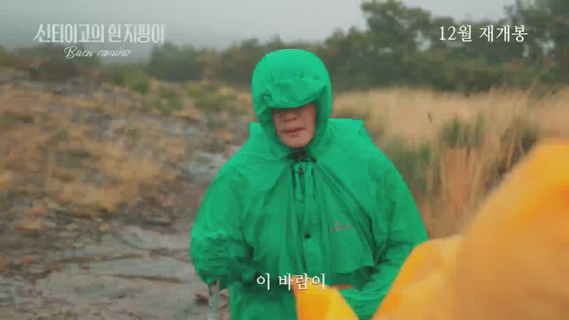 산티아고의 흰 지팡이[기타]