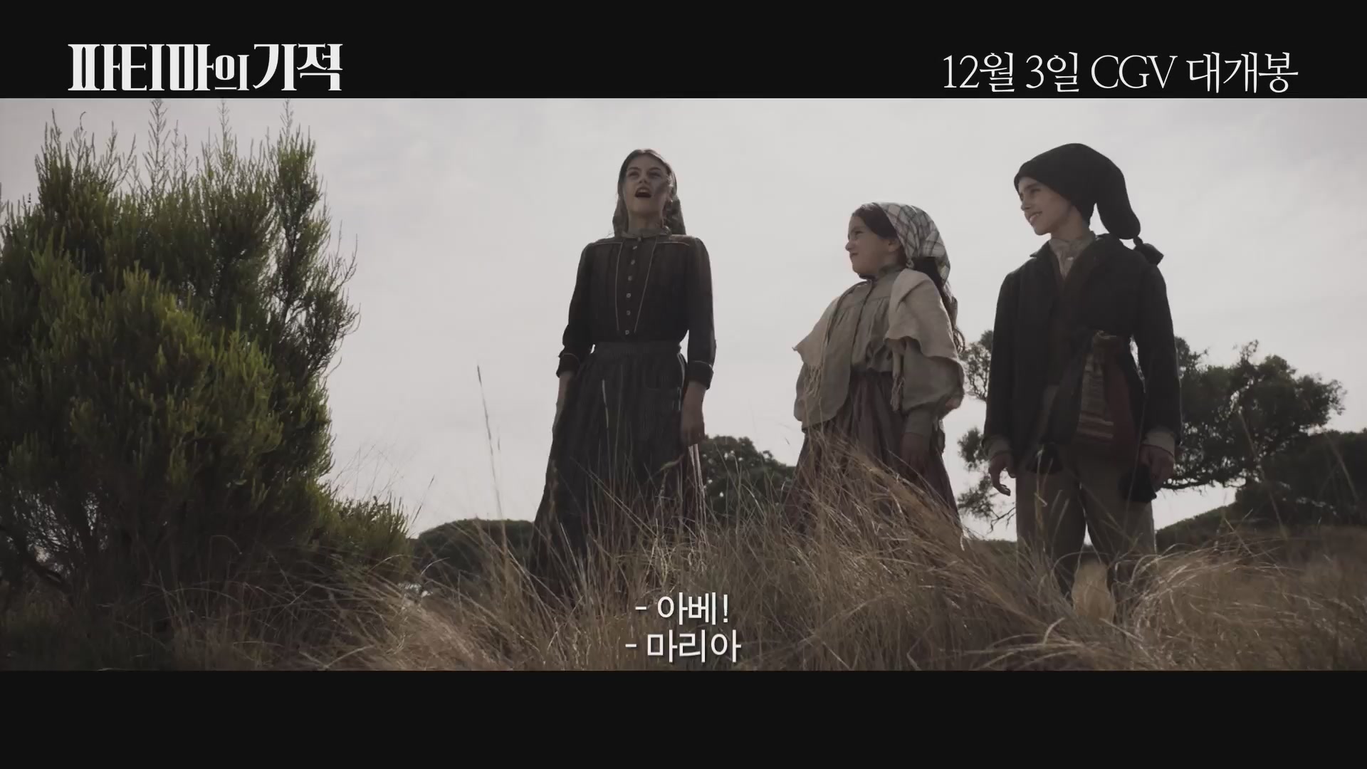 파티마의 기적[기타]