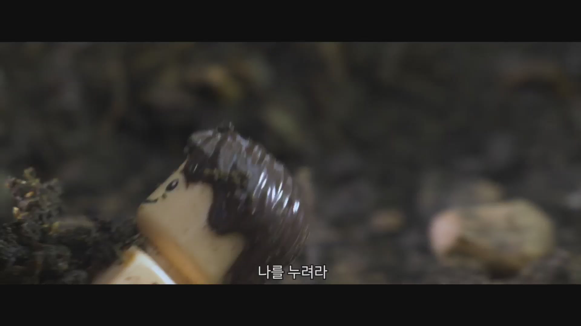 더 바이블 브릭무비[예고편]