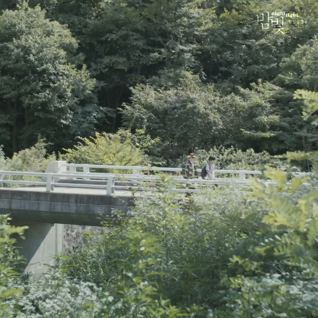 밤빛[기타]
