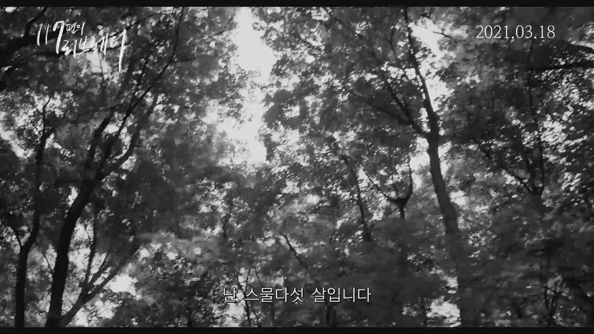 117편의 러브레터[기타]