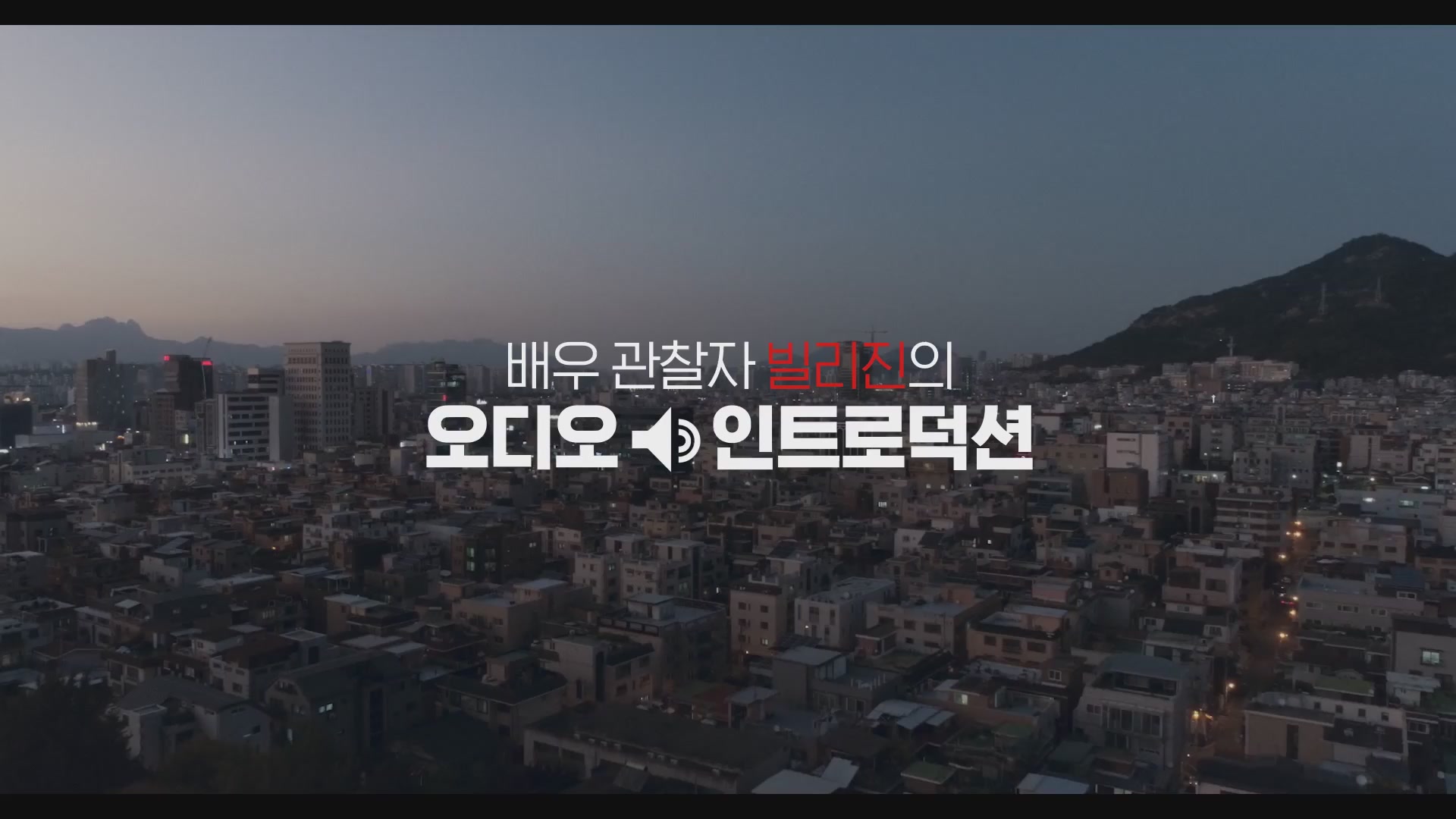 파이터[기타]