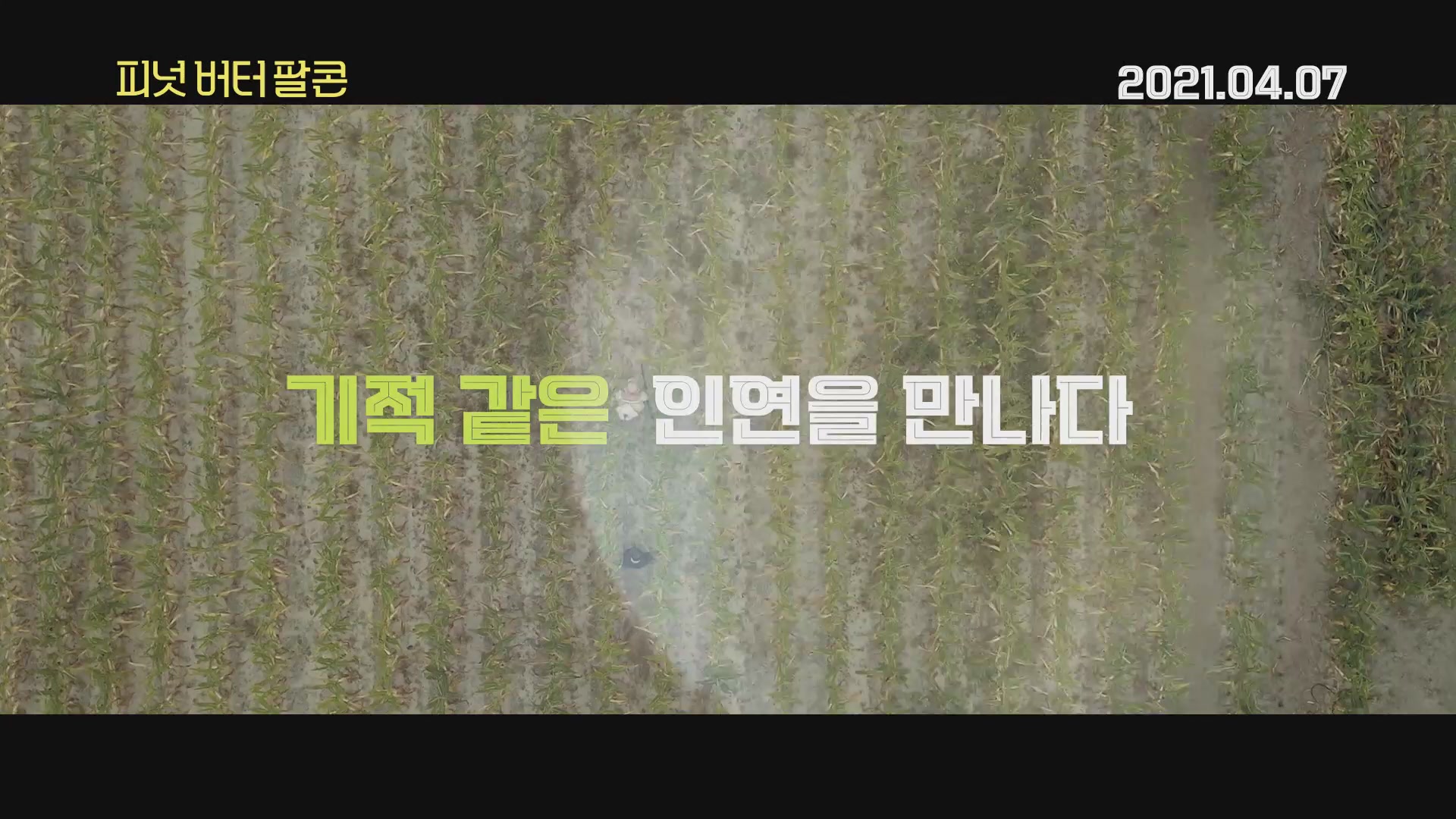 피넛 버터 팔콘[예고편]