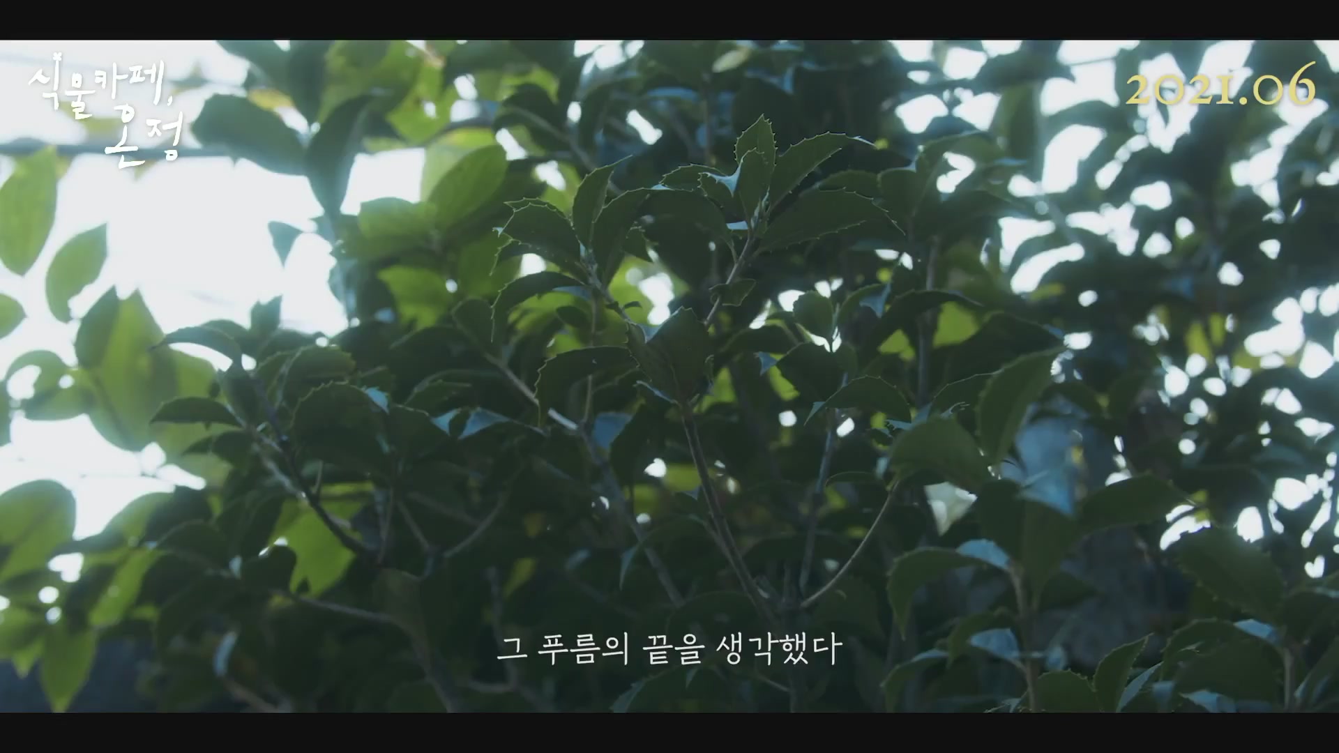 식물카페, 온정[예고편]